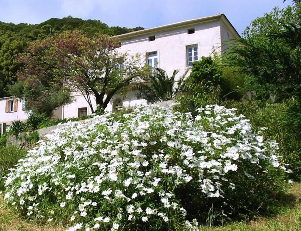 Casa A Rota Chambres d'Hôtes Ersa Exterior foto